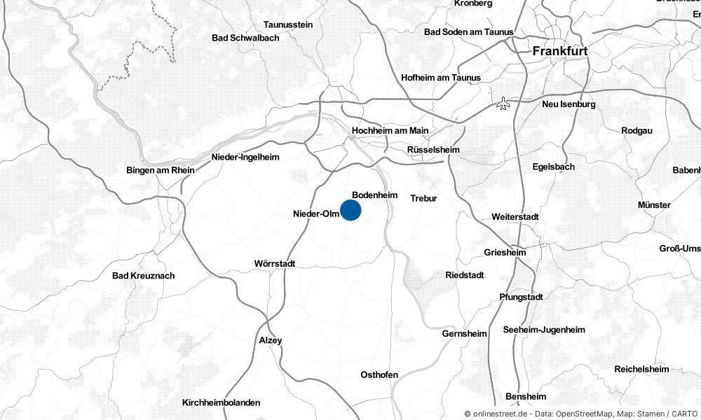 Karte: Wo liegt Gau-Bischofsheim?