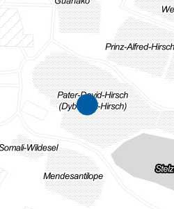 Vorschau: Karte von Pater-David-Hirsch