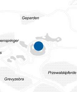 Vorschau: Karte von Seelöwen / Seehunde