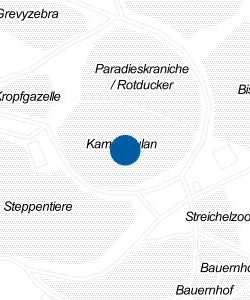 Vorschau: Karte von Trampeltier / Kulan