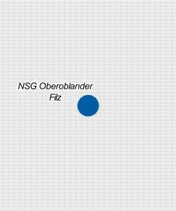Vorschau: Karte von NSG Oberoblander Filz