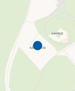 Vorschau: Karte von Kängurus