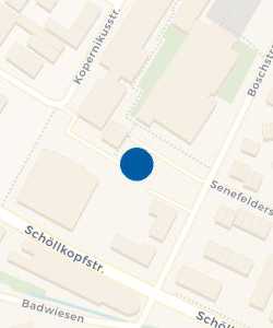 Vorschau: Karte von Max-Eyth-Schule / Schöllkopfschule