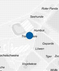 Vorschau: Karte von Tampire, Ameisenbären