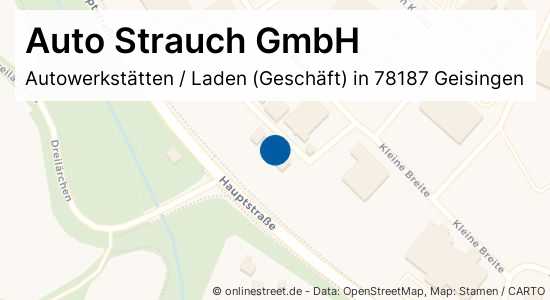 Auto Strauch GmbH Kleine Breite in Geisingen Autowerkstätten, Laden