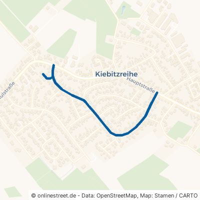 Ringstraße Kiebitzreihe 