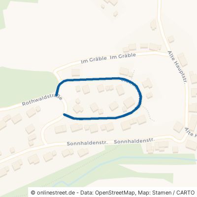 Steinhausstraße Loßburg Wälde 