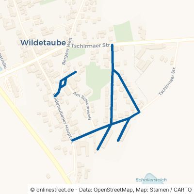 Schwanweg Langenwetzendorf Wildetaube 