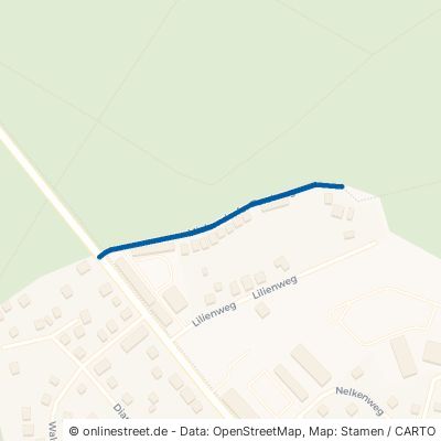 Michendorfer Forstweg Michendorf 