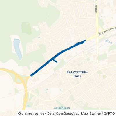 Braunschweiger Straße 38259 Salzgitter Bad Bad