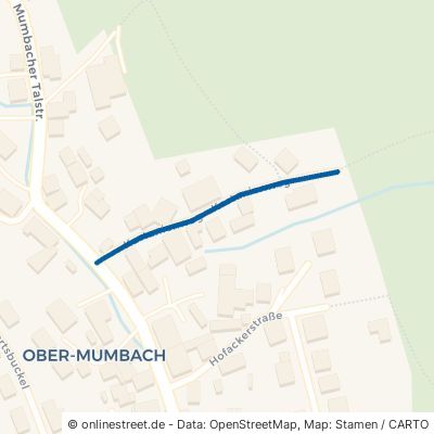 Kastanienweg Mörlenbach Ober-Mumbach 