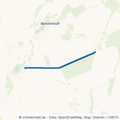 Feldweg Behrenhoff Neu Negentin 