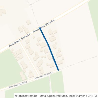 Apotheker-Ernsting-Straße 31553 Sachsenhagen 