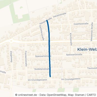 Schillerstraße 63500 Seligenstadt Klein-Welzheim 