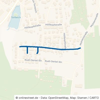 Oskar-Weise-Straße Eisenberg Friedrichstanneck 
