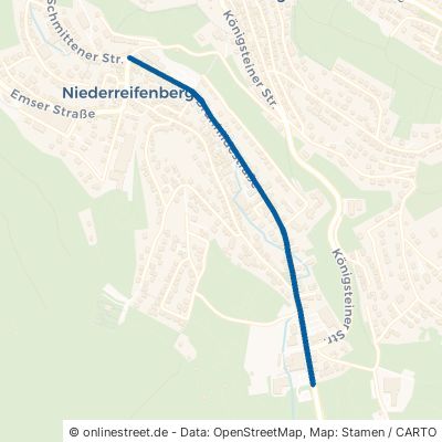 Brunhildestraße Schmitten Niederreifenberg 