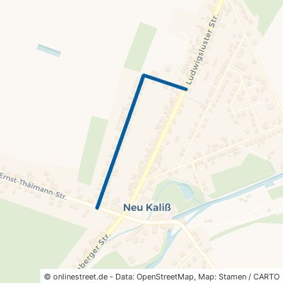 Werner-Seelenbinder-Straße Neu Kaliß Heiddorf 