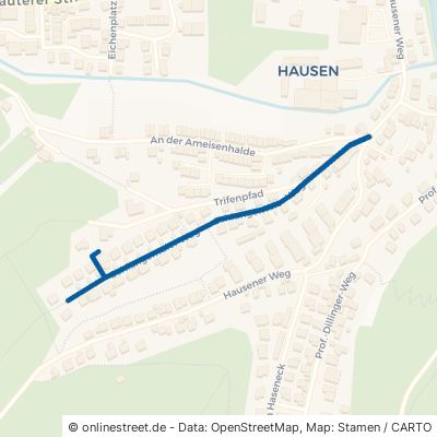Schlangentaler Weg Bad Dürkheim Hardenburg 