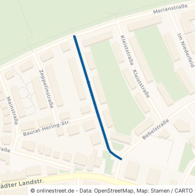 Stresemannstraße 65462 Ginsheim-Gustavsburg Gustavsburg 