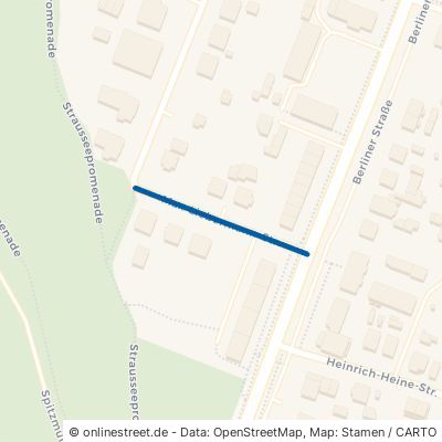 Max-Liebermann-Straße 15344 Strausberg 