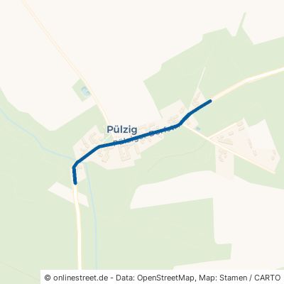 Pülziger Dorfstraße Coswig Pülzig 