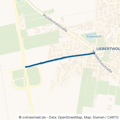 Bornaer Straße Leipzig Liebertwolkwitz 