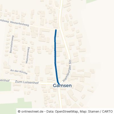 Köthnerstraße Gifhorn Gamsen 