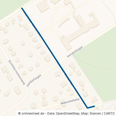 Heinrich-Cotta-Straße Dresden Bühlau/Weißer Hirsch 