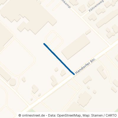 Alwin-Steinemann-Straße 49439 Steinfeld 