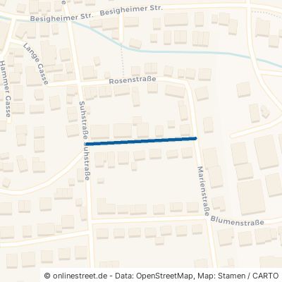 Reinhold-Bechtle-Straße 74369 Löchgau 