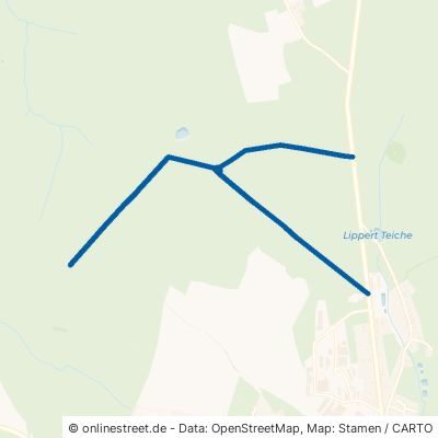 Moosweg Grünhain-Beierfeld Grünhain 