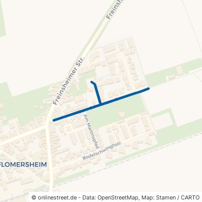 Albert-Schweitzer-Straße Frankenthal Flomersheim 