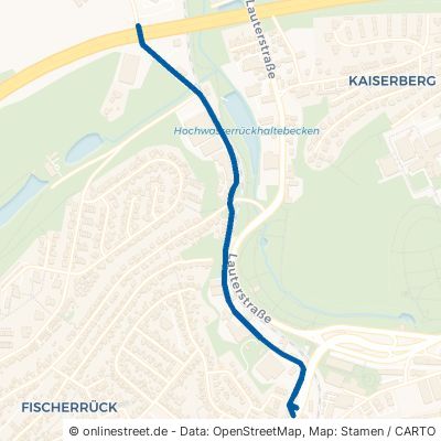 Blechhammerweg Kaiserslautern Innenstadt 