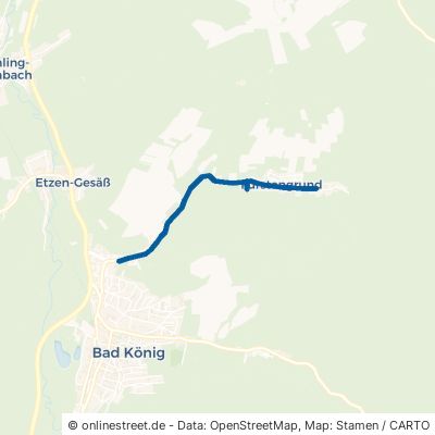 Fürstengrunder Straße Bad König Fürstengrund 