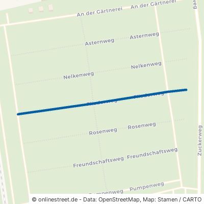 Fliederweg Nordhausen Salza 