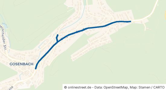 Siegener Straße Siegen Gosenbach 