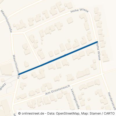 Wiesenstraße 48565 Steinfurt Borghorst 