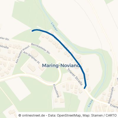 Wittlicher Straße 54484 Maring-Noviand Maring Maring