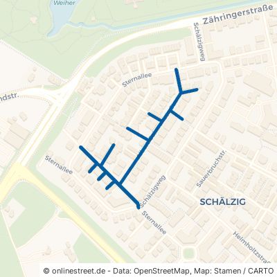 Albert-Schweitzer-Straße Schwetzingen 