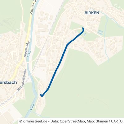 Alois-Stettner-Straße Mudersbach Birken 