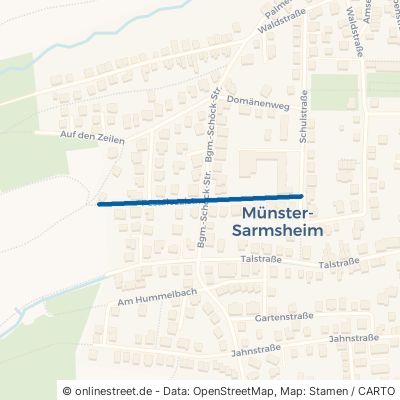 Pestalozzistraße 55424 Münster-Sarmsheim 