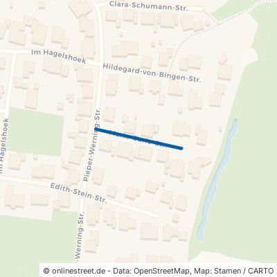 Marie-Curie-Straße Bad Bentheim Hagelshoek 