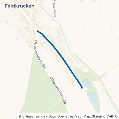 Teichstraße Ulrichstein Feldkrücken 