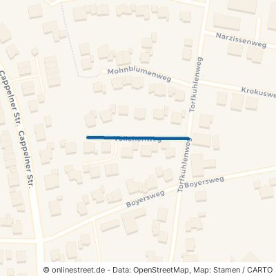 Veilchenweg 49504 Lotte 