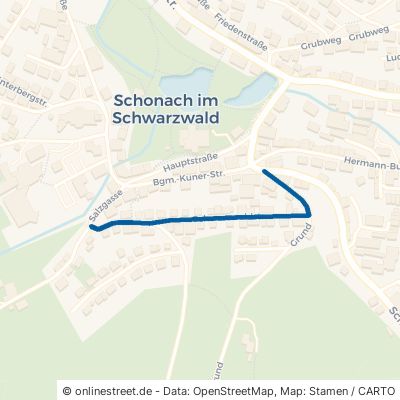 Schwarzwaldstraße Schonach im Schwarzwald 
