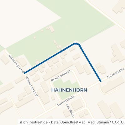 Gartenstraße 38539 Müden Hahnenhorn 