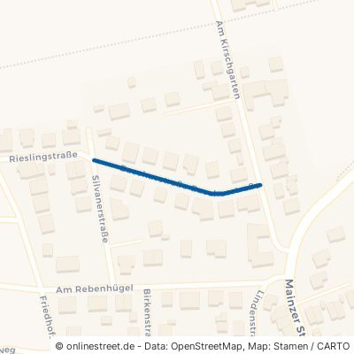 Bacchusstraße Stadecken-Elsheim Elsheim 