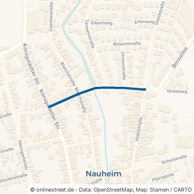 Jahnstraße Nauheim 