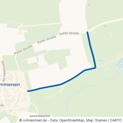 Mühlenbergweg 32676 Lügde Hummersen 
