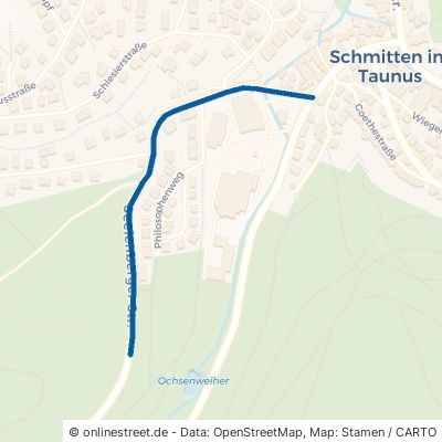 Seelenberger Straße 61389 Schmitten 